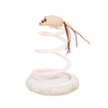 Durable Cat Scratching Board Interactive Scratch Pad Toy for Cats and Kittens